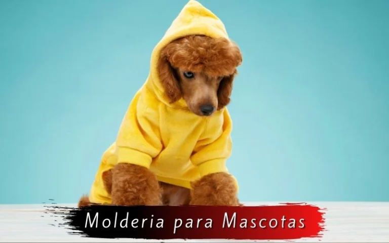 Moldes y Patrones de costura para ropa de mascotas